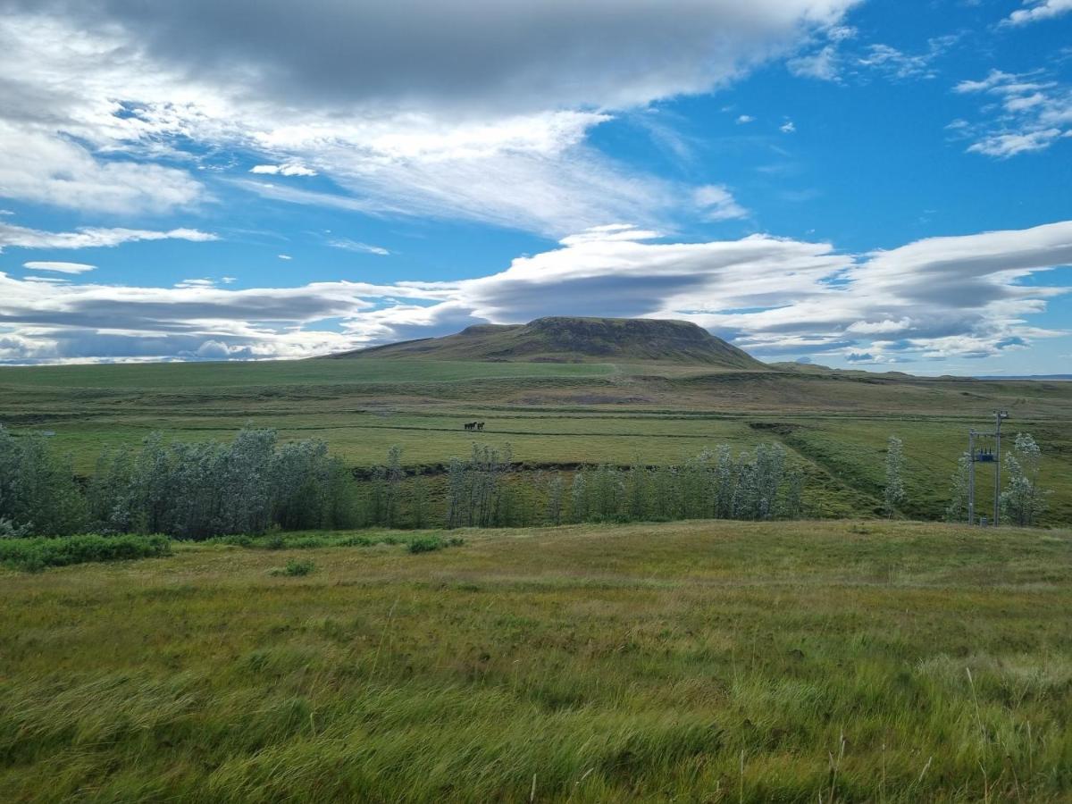 Villa Kambar Selfoss Exterior foto